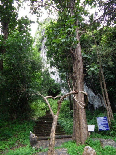 ทางขึ้นเส้นทางเดิมชมภาพเขียนสี<br>