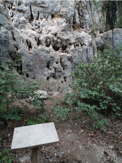 ภาพเขียนสีกลุ่มที่ 4<br>