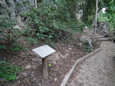 ภาพเขียนสีกลุ่มที่ 4<br>