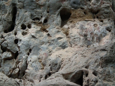 ภาพเขียนสีกลุ่มที่ 4<br>