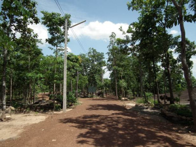 <br>สภาพทั่วไปบนเขาภูพานคำ บริเวณสวนรุกขชาติลุ่มน้ำพอง (โสกแต้) ที่ปรากฏภาพเขียนสี “ถ้ำลายมือ 3”