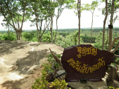 <br>สภาพทั่วไปบนเขาภูพานคำ บริเวณสวนรุกขชาติลุ่มน้ำพอง (โสกแต้) ที่ปรากฏภาพเขียนสี “ถ้ำลายมือ 3”