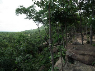 <br>สภาพทั่วไปบนเขาภูพานคำ บริเวณสวนรุกขชาติลุ่มน้ำพอง (โสกแต้) ที่ปรากฏภาพเขียนสี “ถ้ำลายมือ 3”