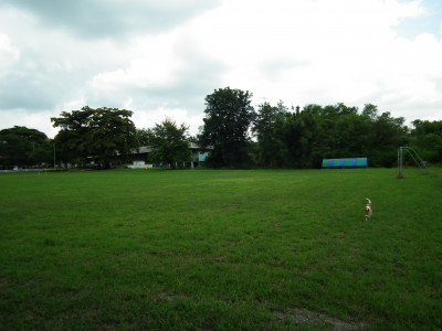 <br>แหล่งโบราณคดีบ้านโป่งตะขบ ภายในโรงเรียนบ้านโป่งตะขบ