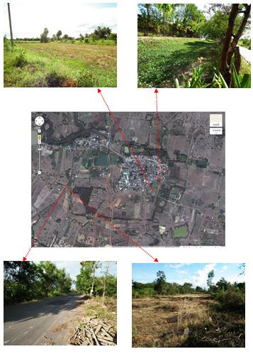 <br>สภาพปัจจุบันของคูน้ำคันดินเมืองชั้นนอกด้านทิศตะวันออกและตะวันตก