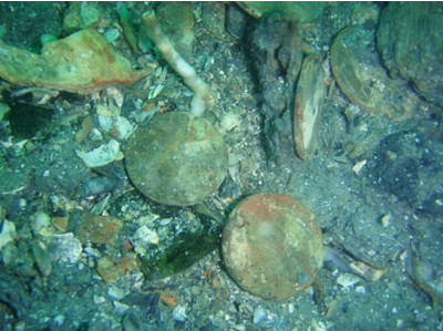 เหรียญกษาปณ์ของไทยที่พบจำนวนมากในตัวเรือ (ภาพถ่ายใต้น้ำ โดยกลุ่มโบราณคดีใต้น้ำ กรมศิลปากร)<br>
