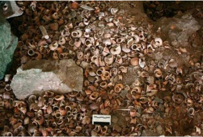 กองเปลือกหอยทะเลฝาเดียว พบกระจายอยู่ทั่วไป ภายในโพรงถ้ำคูหาที่สอง  แหล่งโบราณคดีอ่าวบุญคง (ธวัลรัตน์ ชัยนราพิพัฒน์, 2557: 69)<br>